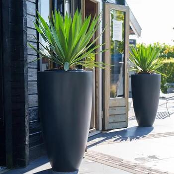 CANNA aus Fiberglas in tiefschwarz