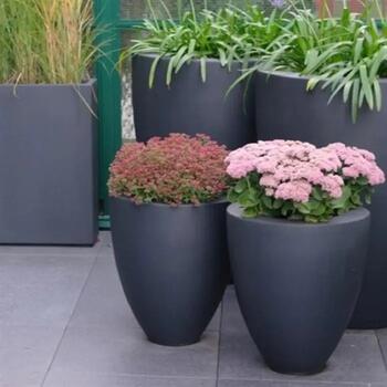 CANNA aus Fiberglas schwarzgrau
