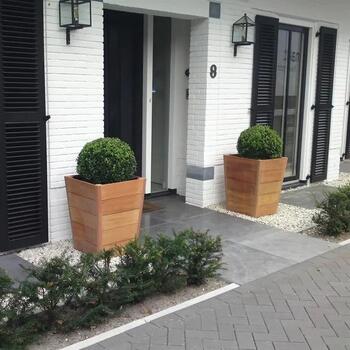 PFLANZENELEMENTE HOLZ