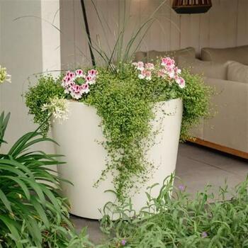 CONIC aus Fiberglas
