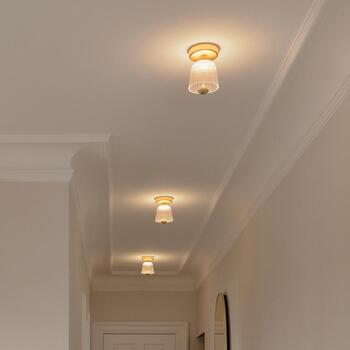 ASTEEA Ceiling