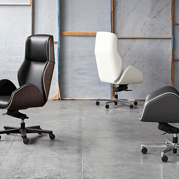 OFFICE EXECUTIVE