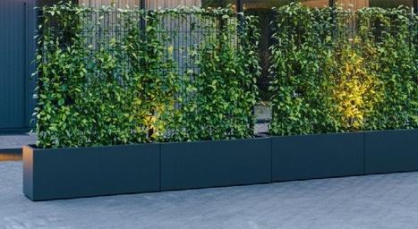 TRELLIS aus Stahl] - ]