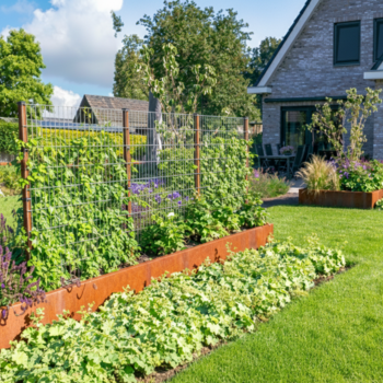TRELLIS RANKHILFE