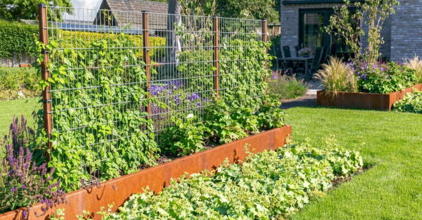 TRELLIS aus Cortenstahl] - ]