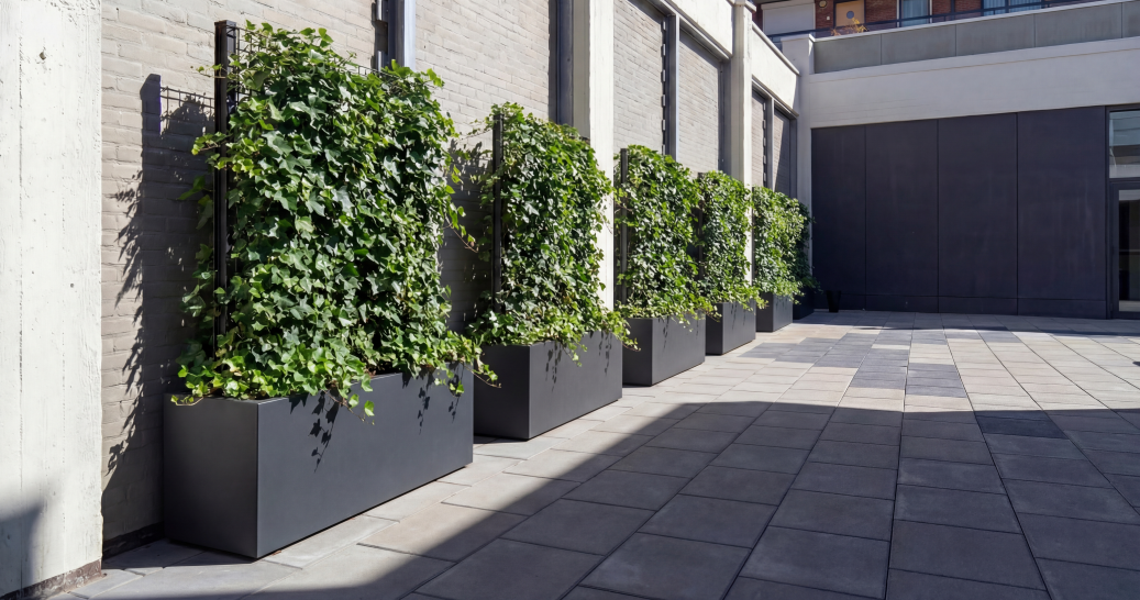 TRELLIS aus Stahl] - ]